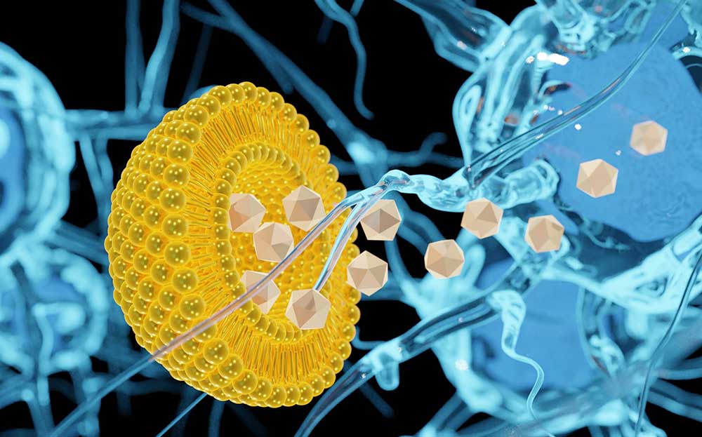 Microscopic image of liposomes used in nanotechnology engineering for targeted drug delivery.